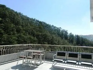 Hotel Satyam Regency Shimla